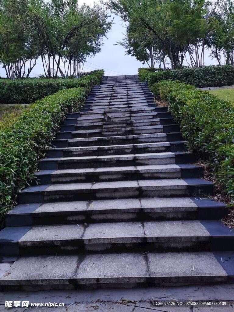 石板阶梯通往绿意景观