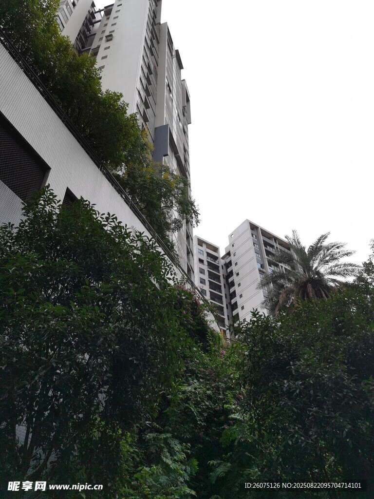 高楼间繁茂绿植景观