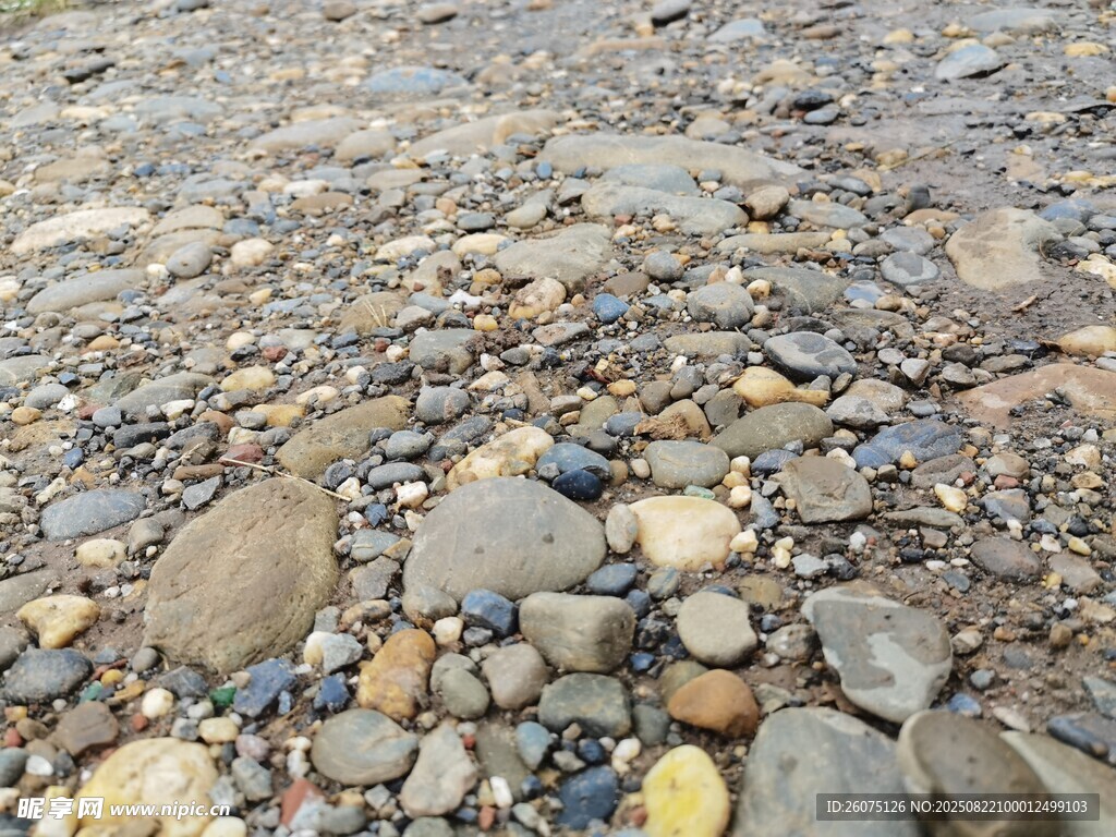 雨后路面的多彩鹅卵石