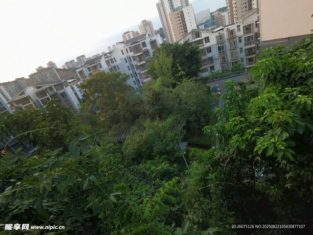 城市中的绿意植被景观