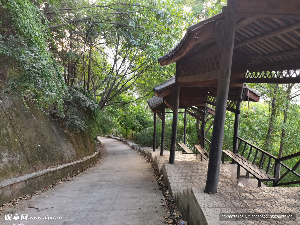 山间林荫步道凉亭静立