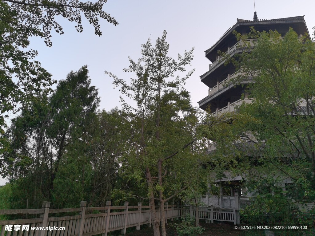 古楼隐于葱郁林木间