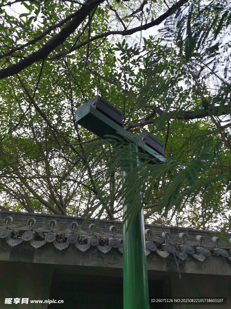 户外绿色杆顶照明设备