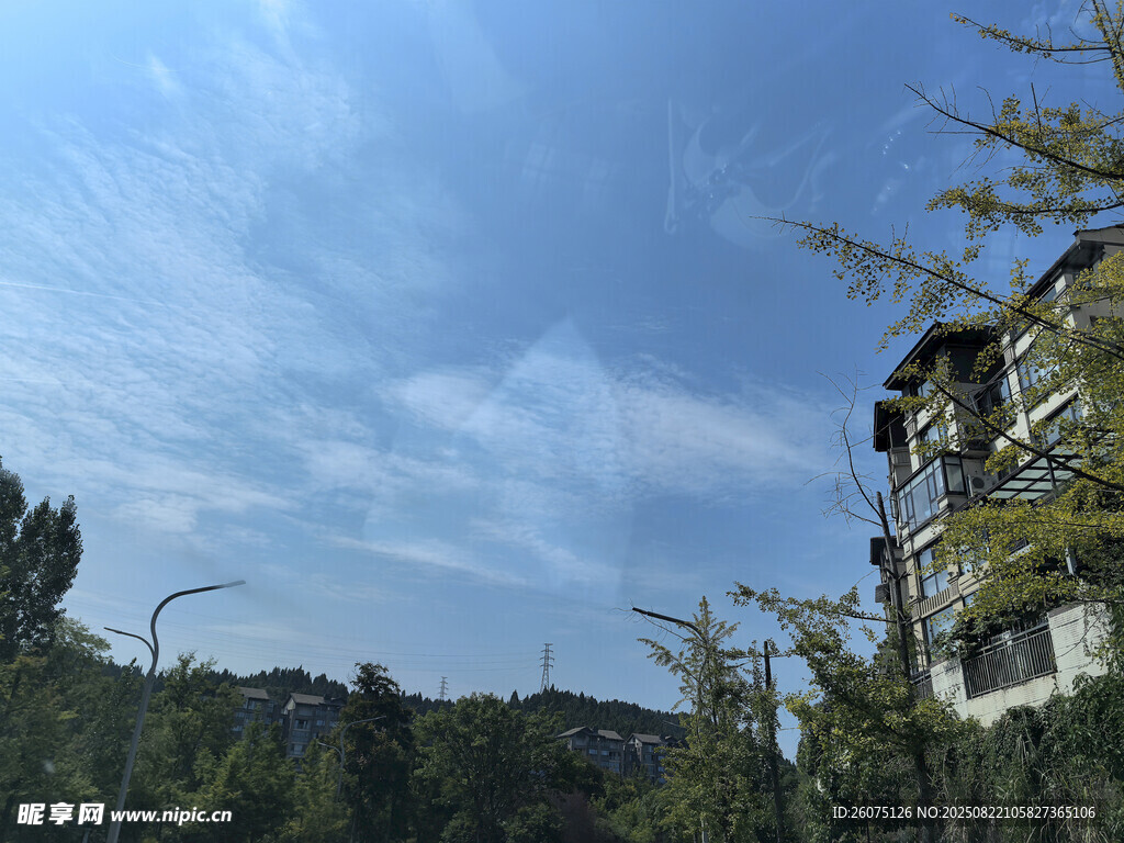 山间建筑与葱郁树木景观