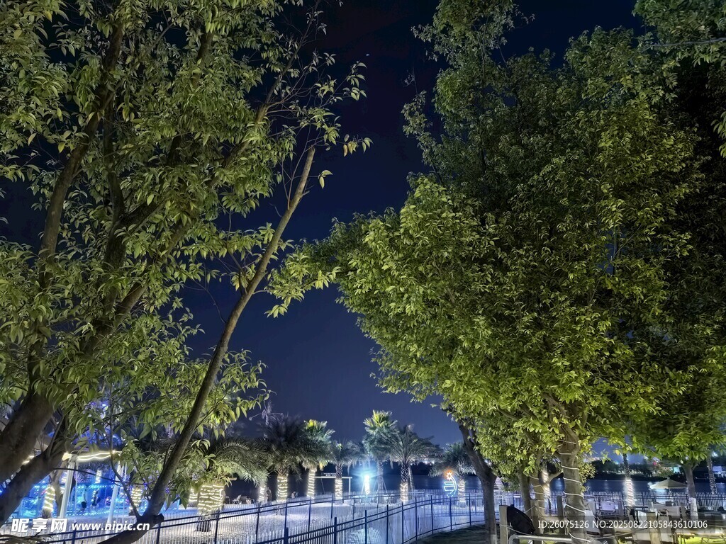休闲度假河畔夜景与绿植