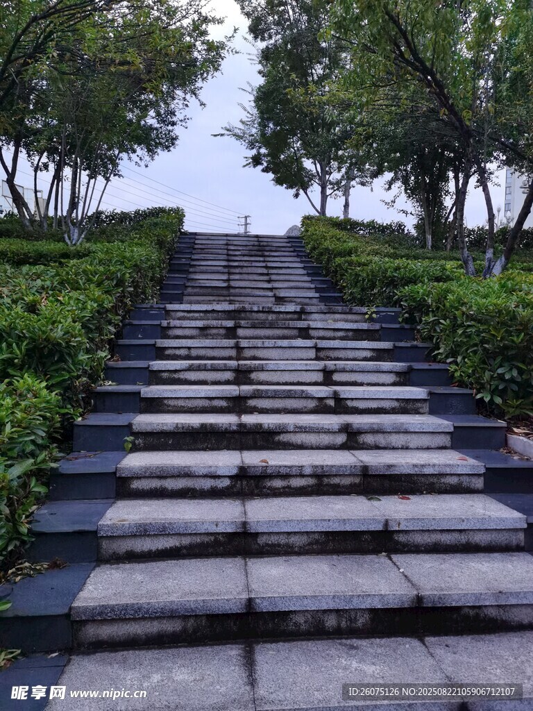 石砌阶梯通往绿意景致