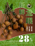 新鲜龙眼促销海报