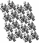 素描龙眼线条图底纹
