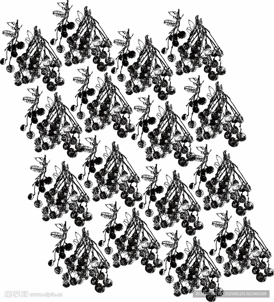 素描龙眼线条图底纹