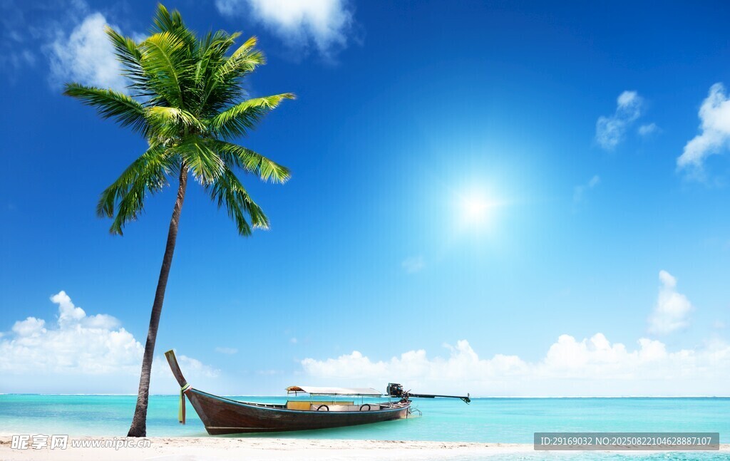 海边椰树与停泊小船美景