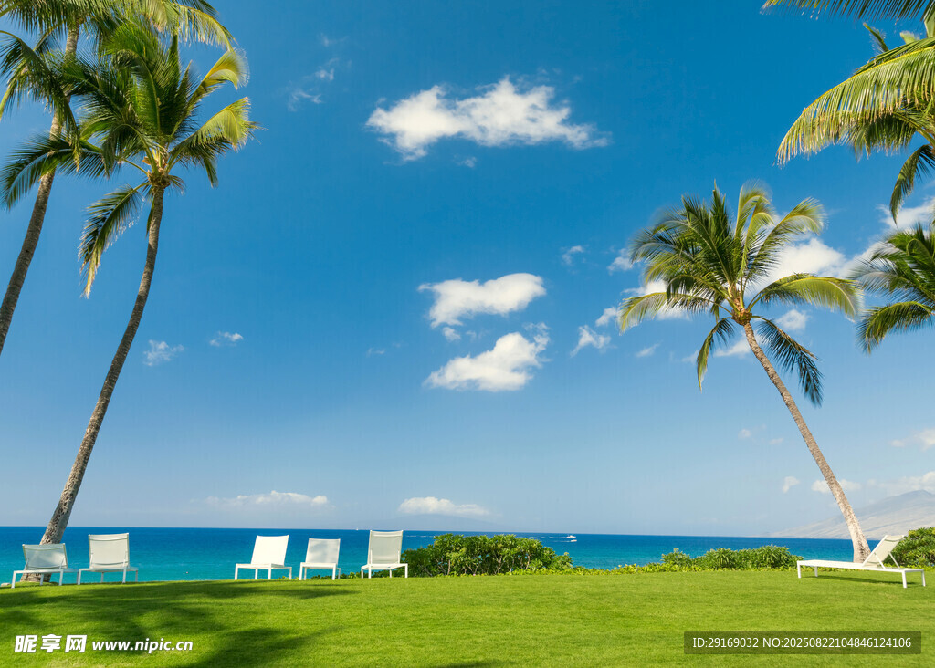 海滨椰林草坪休闲美景