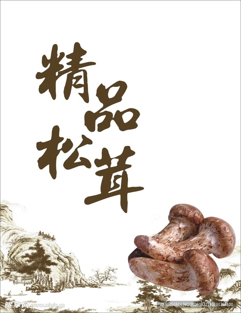 精品松茸展示