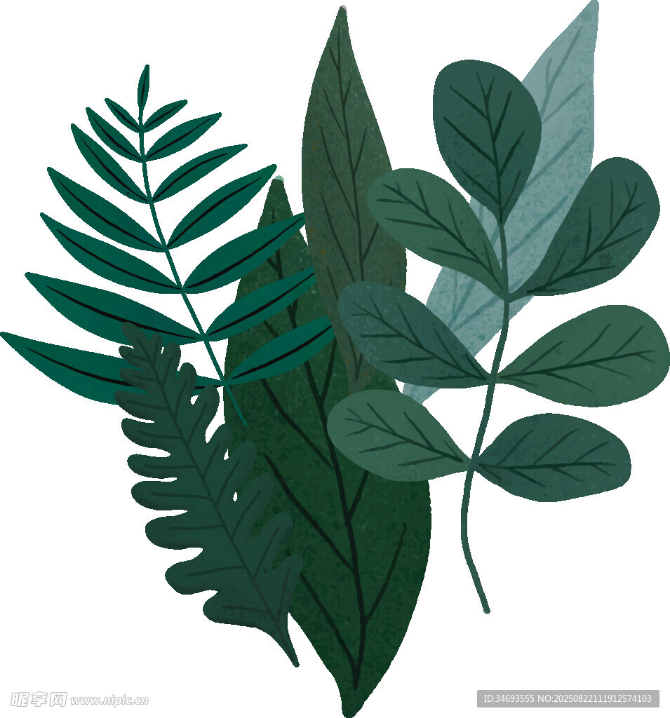 清新绿植叶片插画