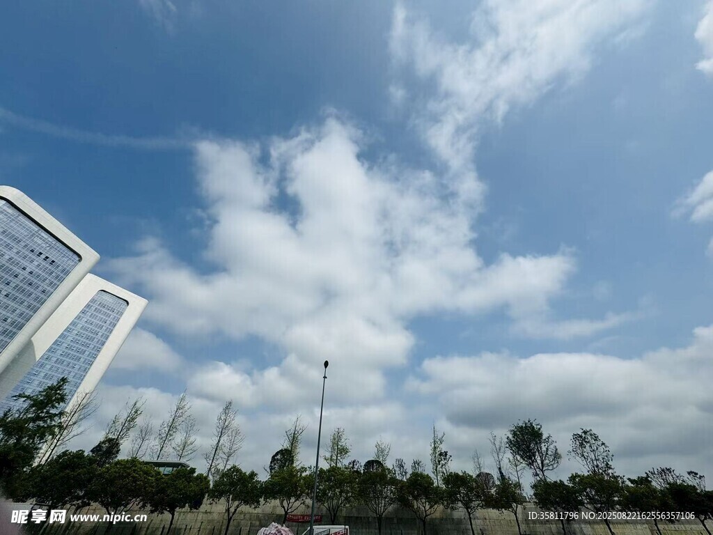 城市蓝天绿树风景