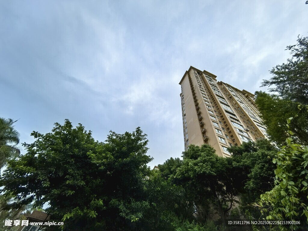 绿树环绕的高耸建筑