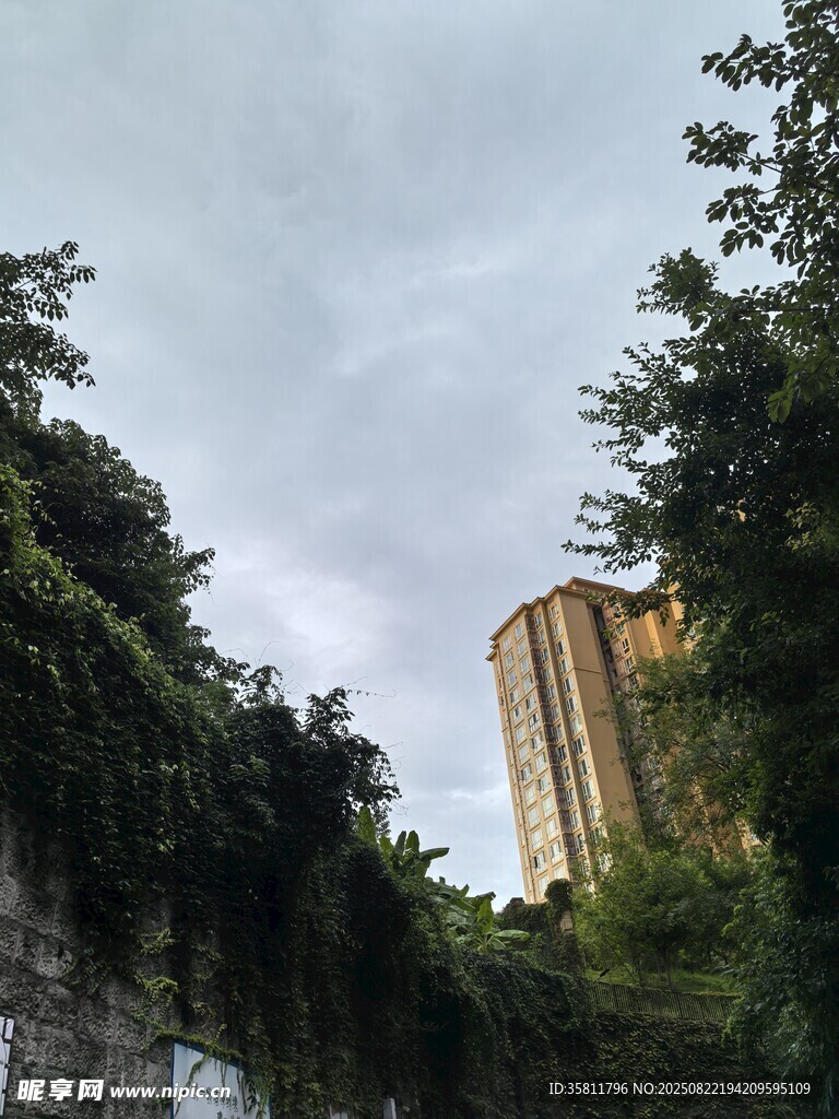 高楼旁的繁茂绿植景观