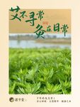 艾草 养生 艾灸