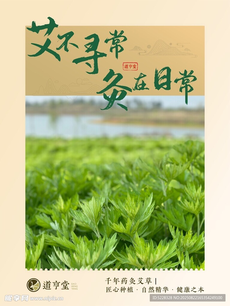 艾草 养生 艾灸