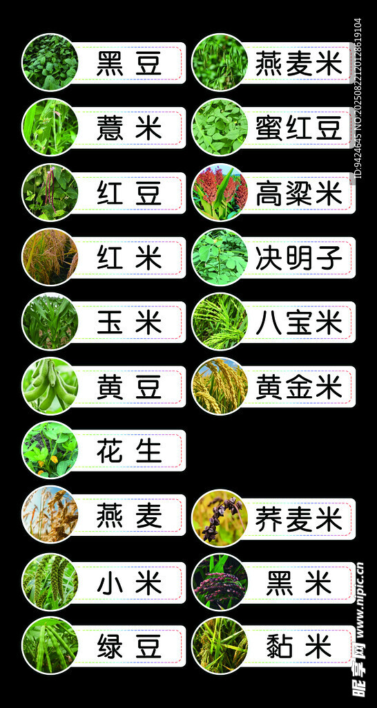 种子墙 种子名称 幼儿园盆栽 