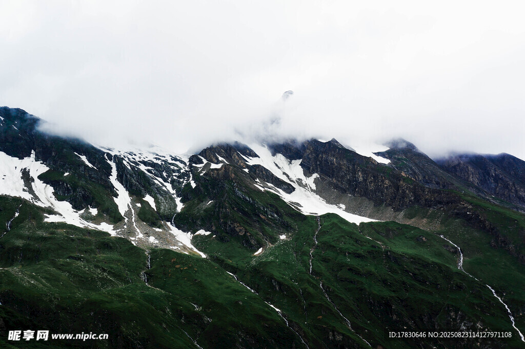 雪山与翠绿山林景观