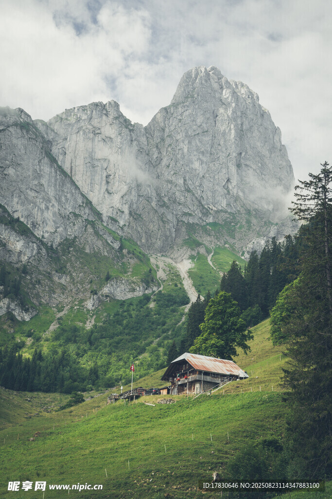瑞士阿尔卑斯山