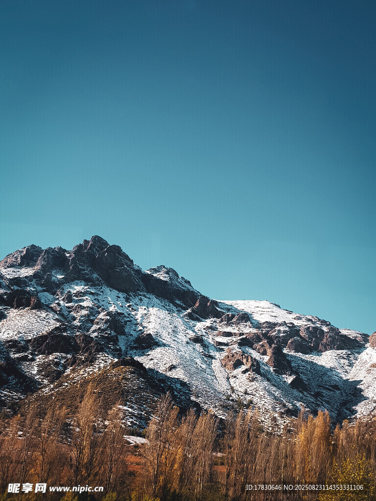 瑞士阿尔卑斯山