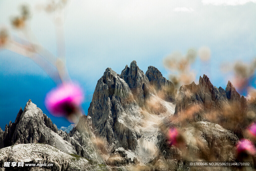 山间繁花伴巍峨峰景