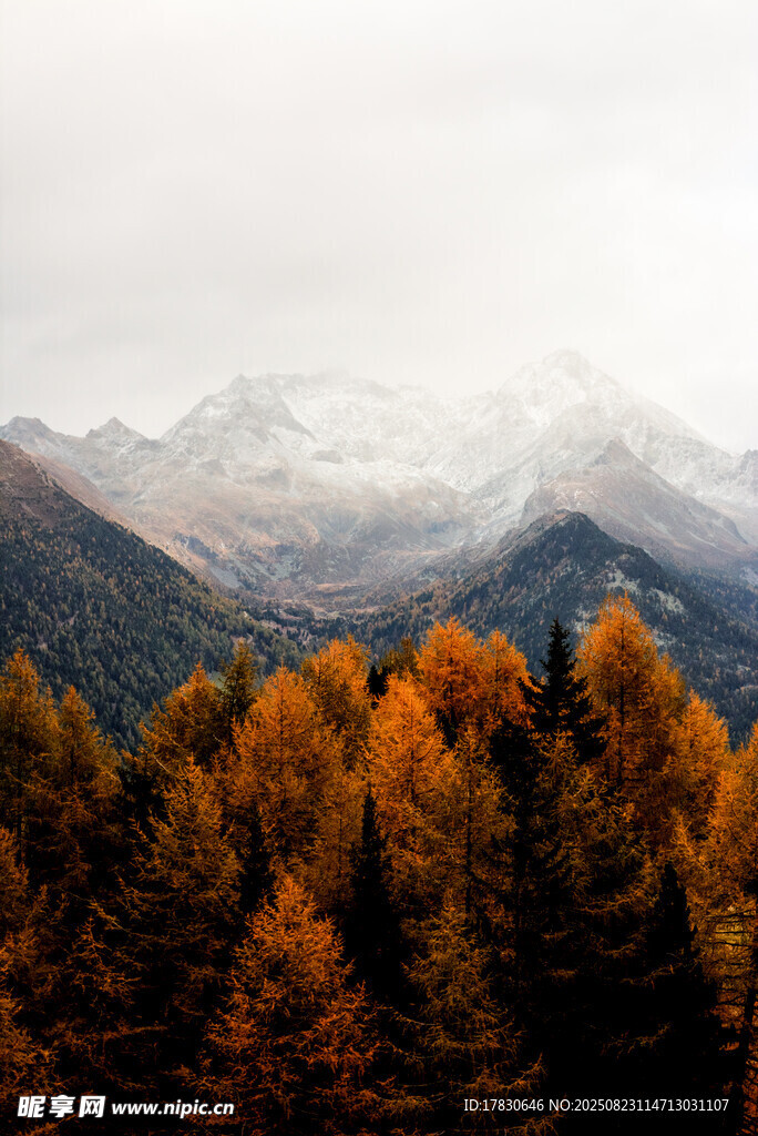 秋日山林与远处雪山美景
