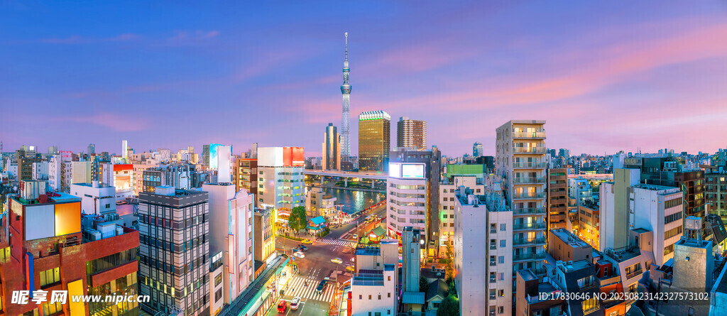城市黄昏天际线绚丽景观