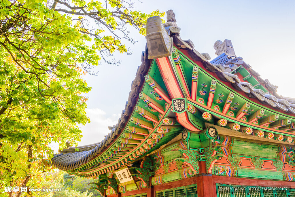 传统中式飞檐古建筑