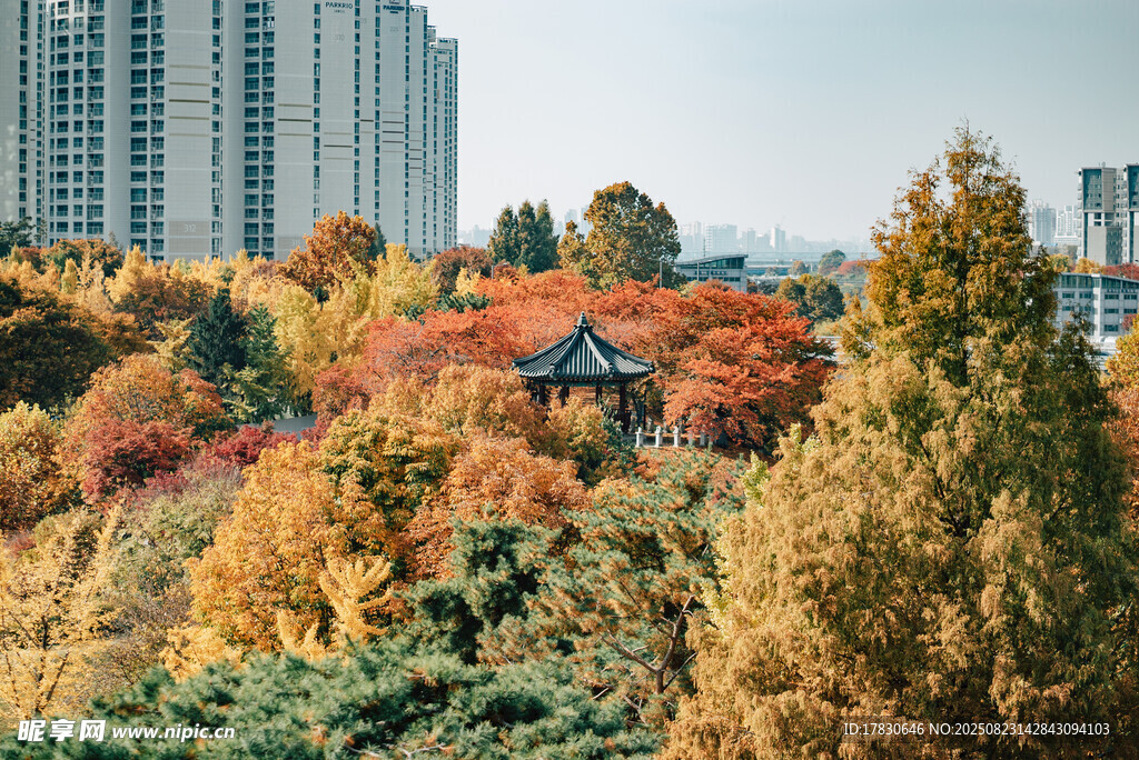 秋日城市公园多彩景致