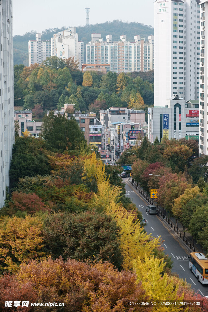 秋日城市街道斑斓景致