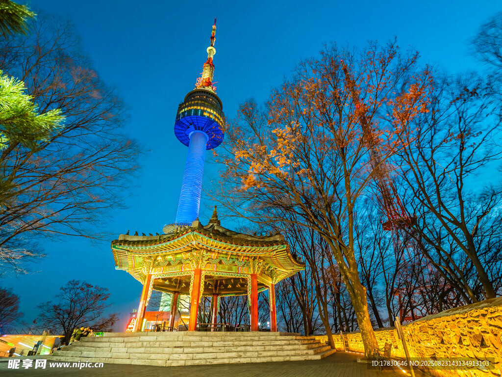 首尔夜景中的传统亭子与塔