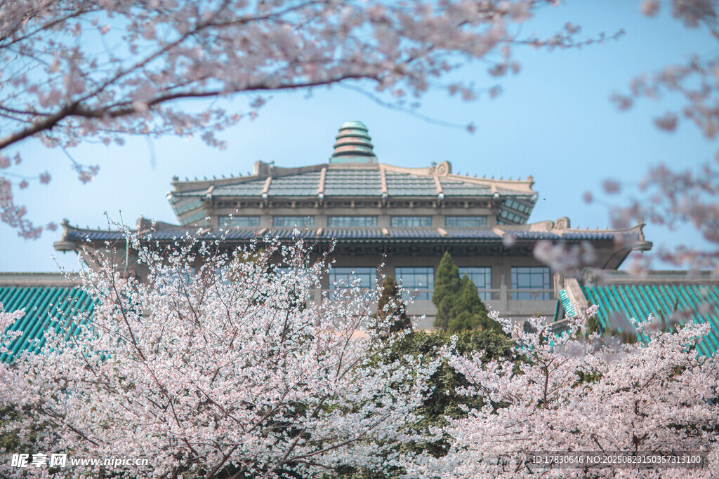 樱花簇拥下的古典建筑