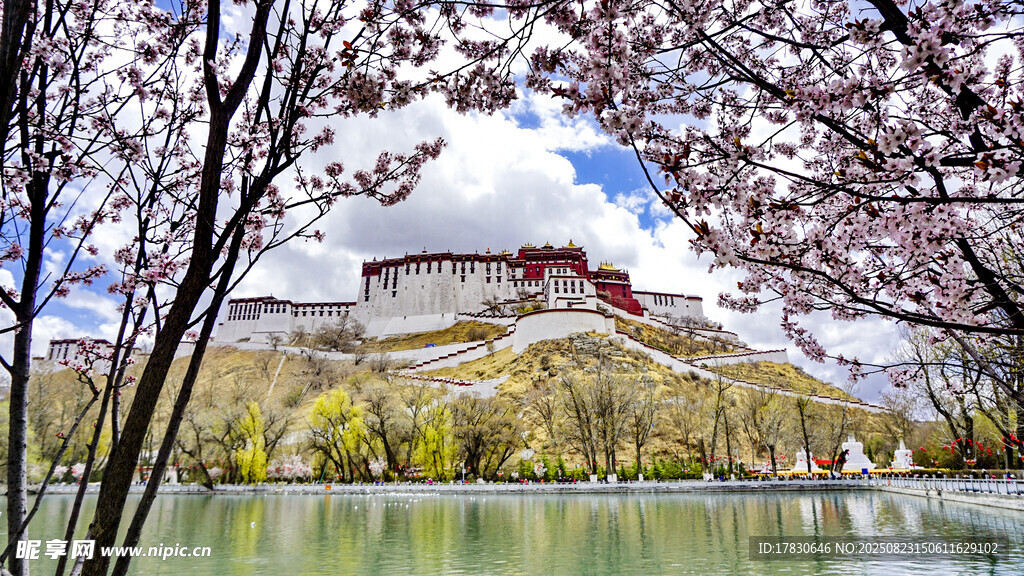布达拉宫旁的春日湖景