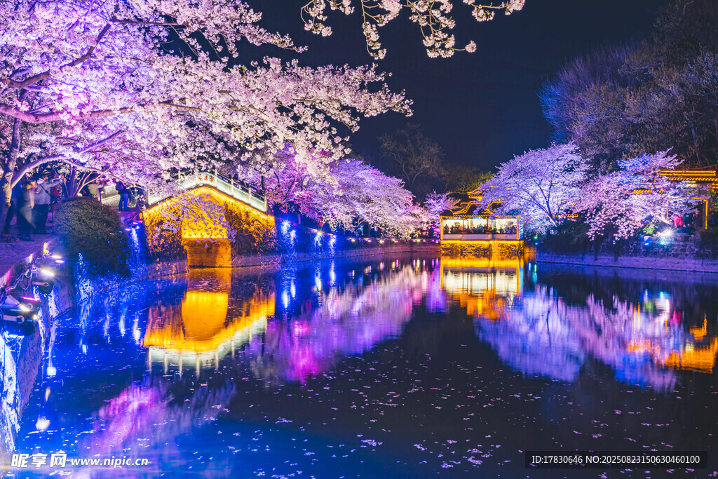夜樱下的梦幻水景