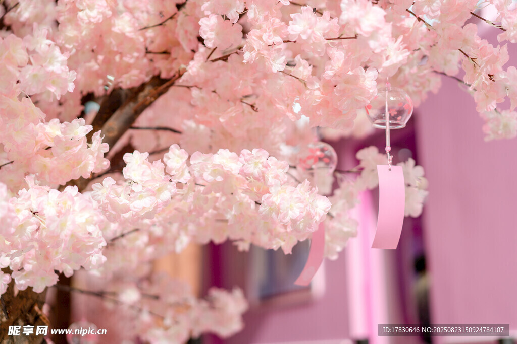 粉色烂漫樱花装饰场景