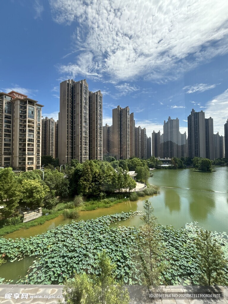 湖畔高楼林立的城市景观