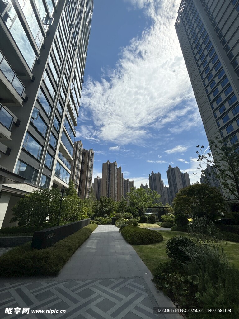都市楼宇间的静谧绿化小径