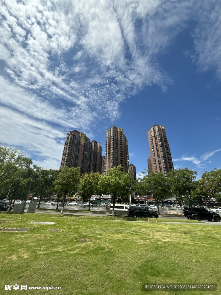 城市绿地旁的高楼景观