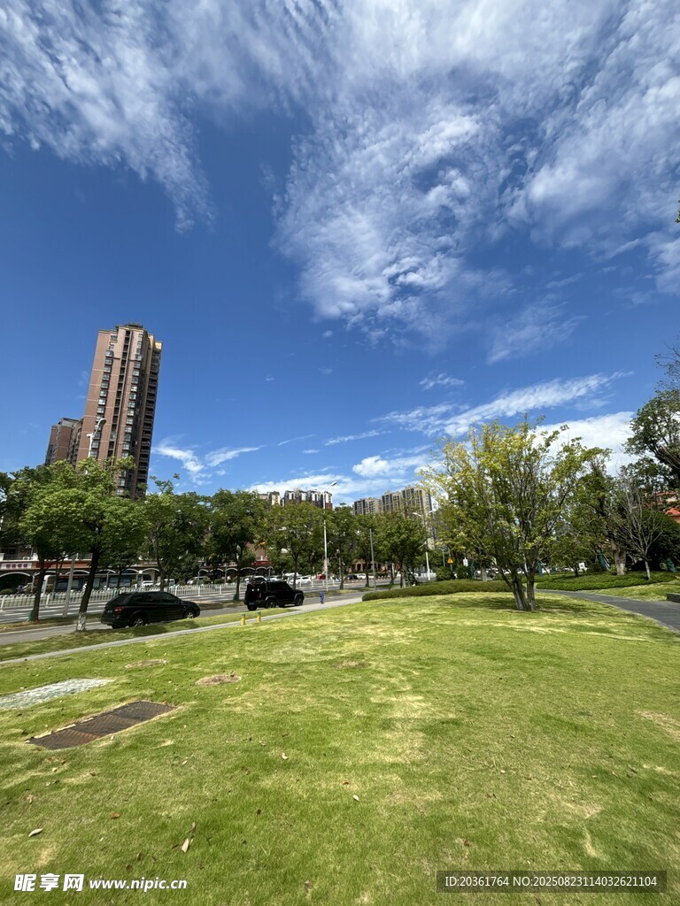 城市绿地中的开阔美景