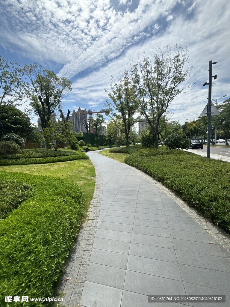 城市中的静谧林荫步道
