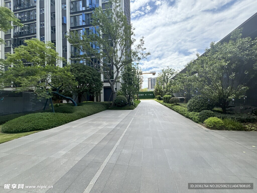 现代小区宽阔林荫道路