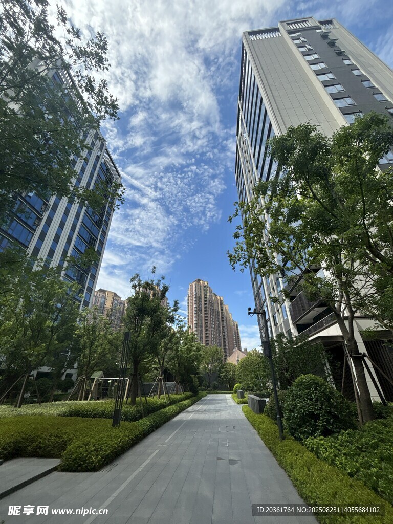 城市林荫间的宽阔道路