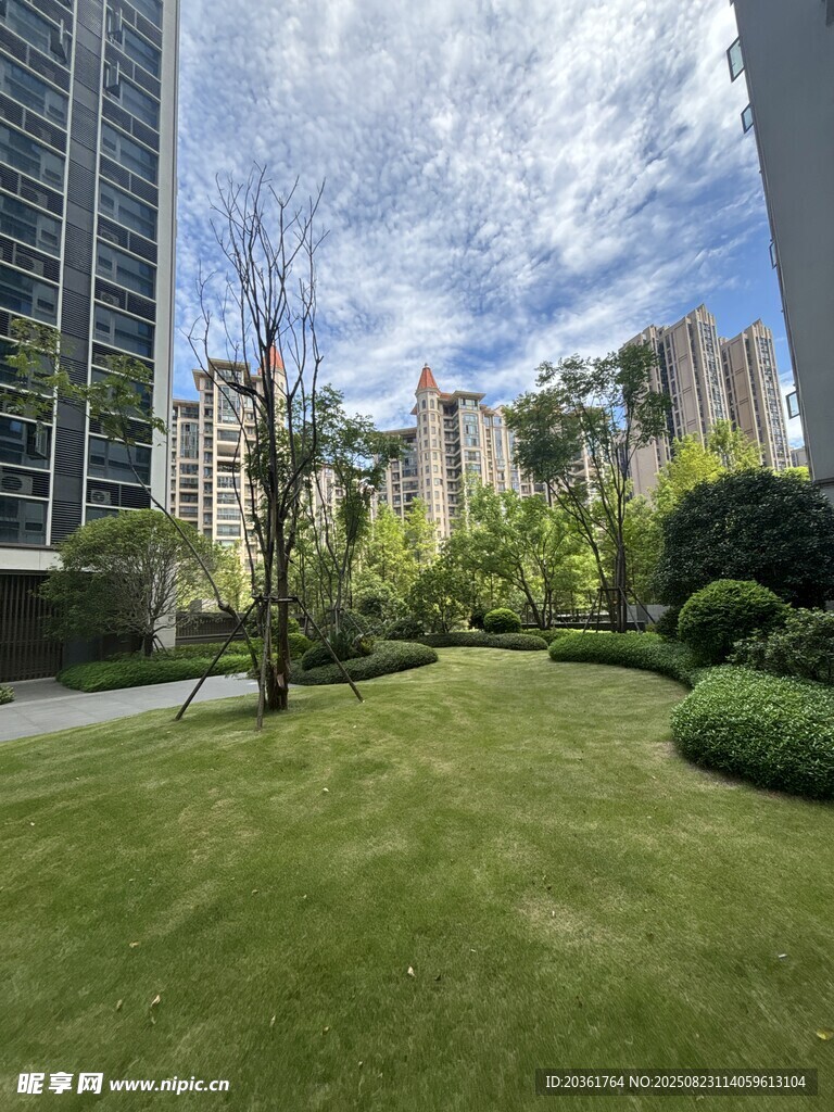 城市中的绿意花园景观
