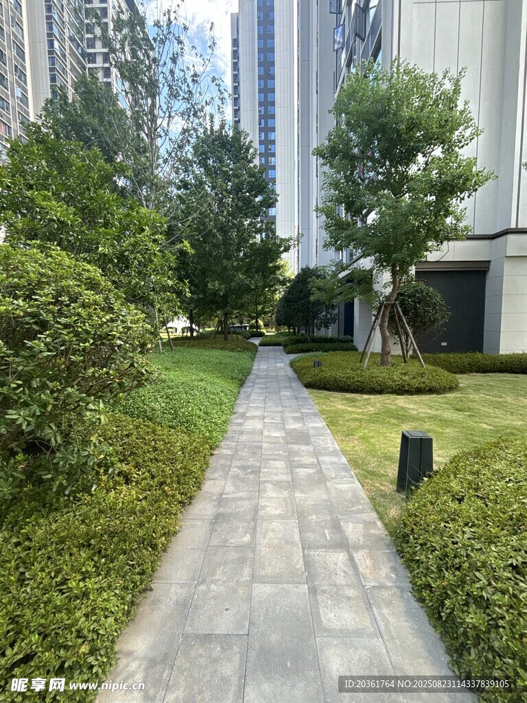 城市中的静谧花园小径