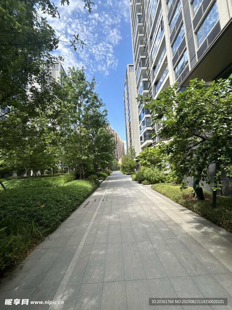 城市林荫步道景观
