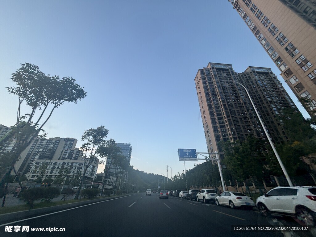 城市街道旁的高楼与树木