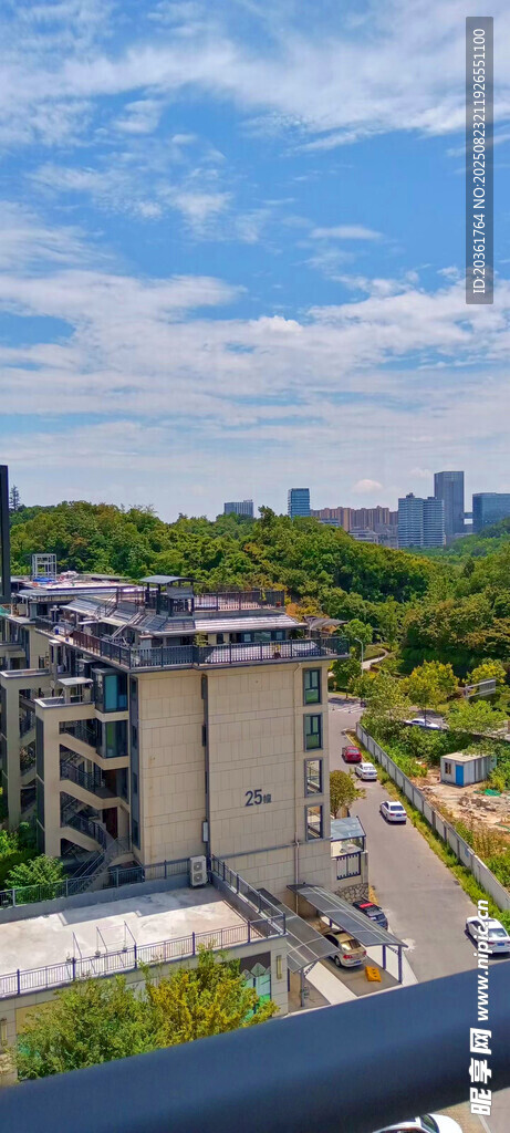 城市景观中的建筑与绿树