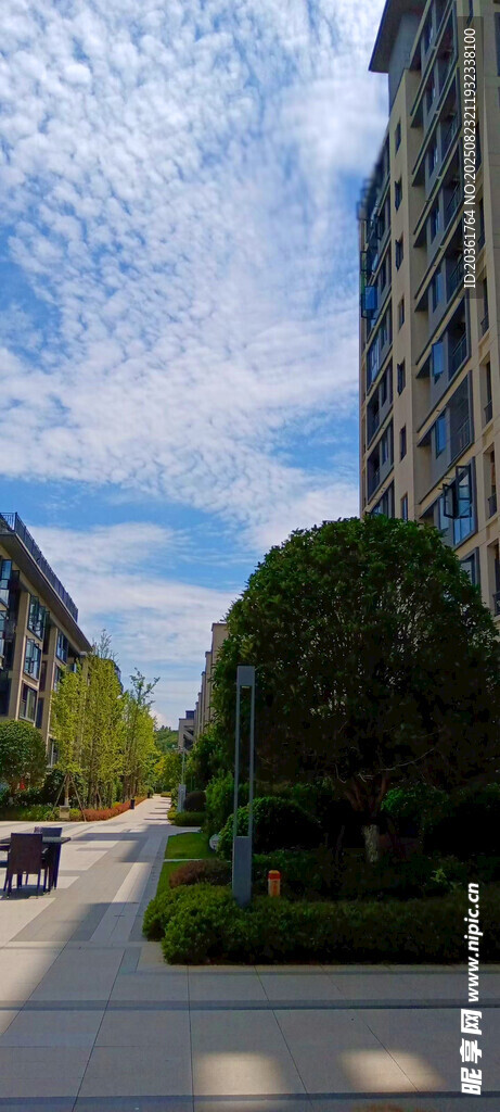 城市街道旁的高楼绿植景观